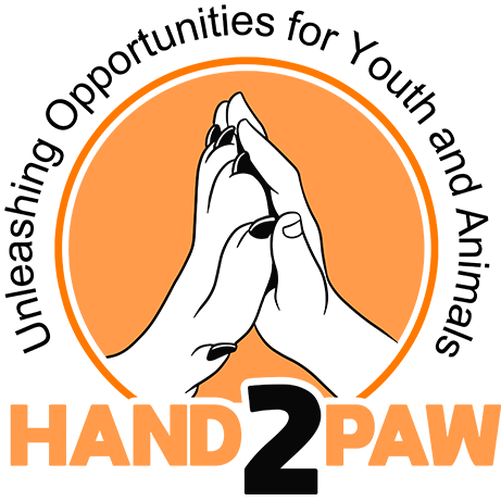 Hand2Paw Collection